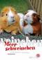 Preview: Meerschweinchen